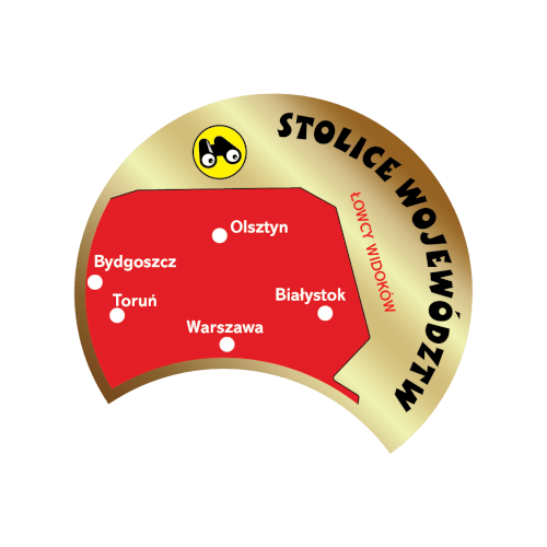 Złota odznaka NE