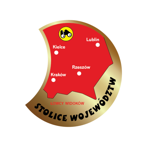 Złota odznaka SE