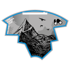 Srebrny medal górski